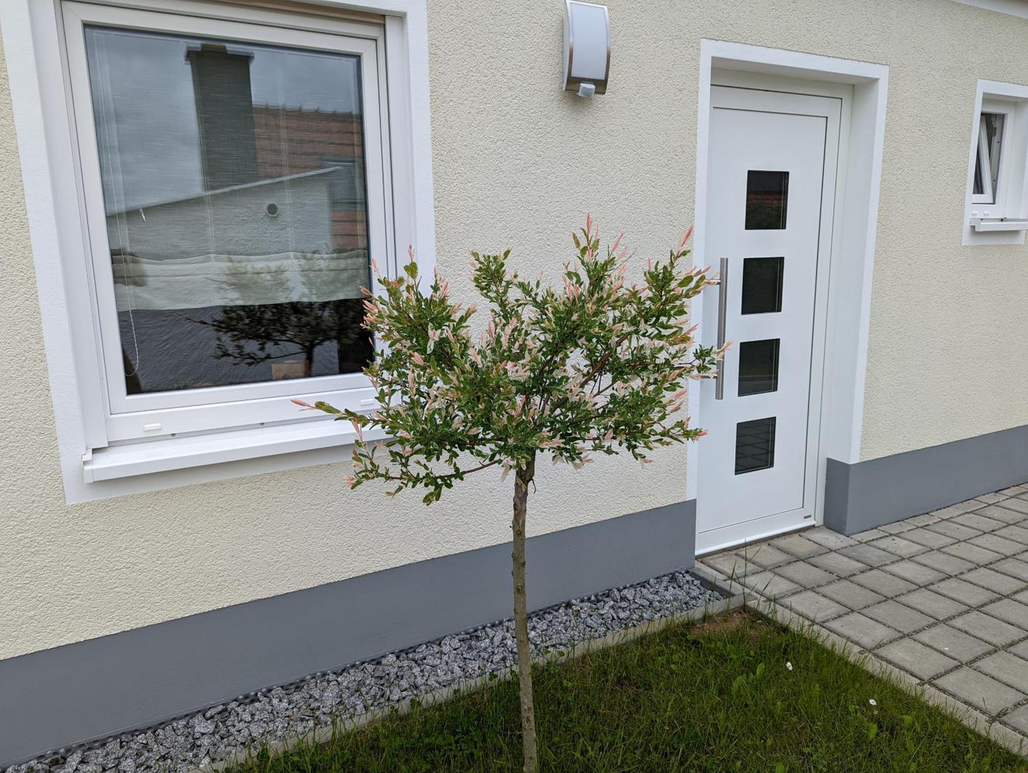 Ferienhaus Zum Kuckuck, Wng 2, Urlaub Im Eichsfeld Kallmerode Ngoại thất bức ảnh