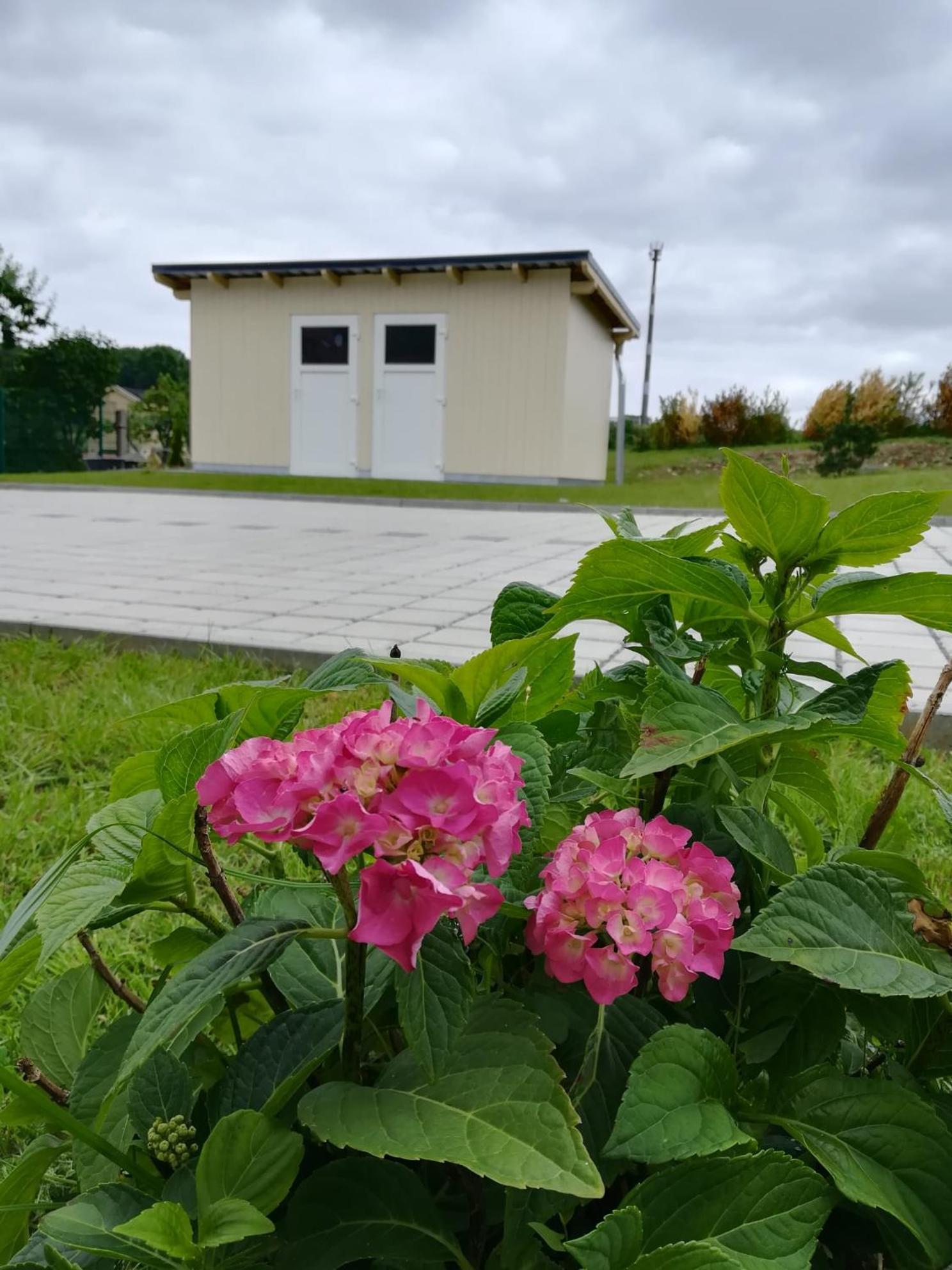 Ferienhaus Zum Kuckuck, Wng 2, Urlaub Im Eichsfeld Kallmerode Ngoại thất bức ảnh